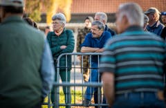 Versteigerung Alppferde Ulrich K. (Bild: Reto Martin)