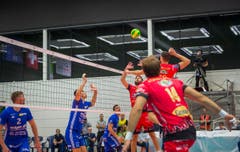 Volley Amriswil : Perugia Champions League Hinspiel (Bild: Andrea Stalder)