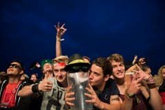 OpenAir Frauenfeld 2014 (Bild: Urs Jaudas)