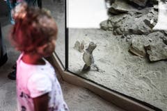 Wer beobachtet hier wen? Eine Begegnung zwischen Kleinkind und Waran. (Bild: Michel Canonica)
