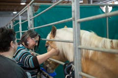 St. Gallen - OFFA Frühlingsmesse Freitzeit- und Sportmesse und Pferdemesse Besucher in der Pferdeausstellung (Bild: Ralph Ribi)