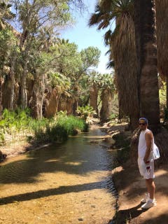 Wanderung in Palm Springs. (Bild: pd)