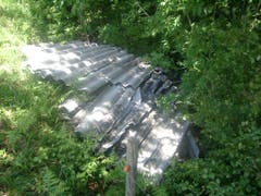Störendes Abfallmaterial im Grün des Waldes. (Bild: Oberforstamt Appenzell Ausserrhoden)