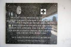 Am Bahnhof in Buchs werden Flüchtlinge erwartet (Bild: Urs Bucher)