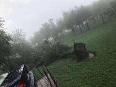 Der Sturm hat ganze Bäume entwurzelt. (Bild: PD)