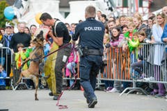 Polizeihunde-Vorführung an der Wega. (Bild: Donato Caspari)