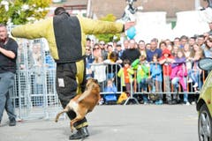 Polizeihunde-Vorführung an der Wega. (Bild: Donato Caspari)