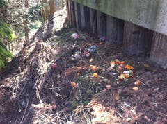 Statt in der Abfalltonne landete auch dieser Kehricht im Wald. (Bild: Reto Bless)