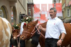 Solthurner Landwirtschaft mit Kühen und Schafen. (Bild: Ralph Ribi)
