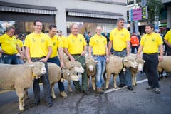 St. Gallen - Umzug Olma Olmaumzug durch die Stadt (Bild: Ralph Ribi)