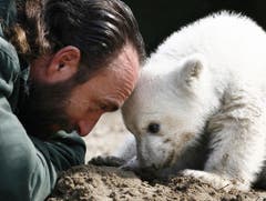 Mit Knut erlangte auch sein Tierpfleger Thomas Dörflein Berühmtheit. (Bild: Keystone)