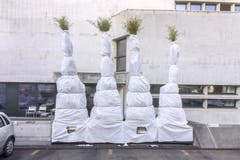 Hauptsache, die Parkplätze bleiben sichtbar: Christo-mässig eingepackte Pflanzen beim Stadttheater St.Gallen (22.12.2016). (Bild: Urs Bucher)
