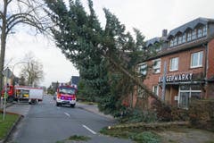 Sturmtief "Friederike" - Nordrhein-Westfalen (Bild: Keystone)
