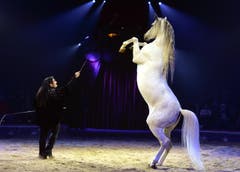 Géraldine Katharina Knie zeigt eine Freiheitsdressur. (Bild: Keystone)
