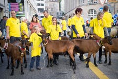 St. Gallen - Umzug Olma Olmaumzug durch die Stadt (Bild: Ralph Ribi)