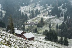 Erster Schnee auf der Fahrt Urnäsch, Chräzerli, Schwägalp. (Bild: Hanspeter Schiess)
