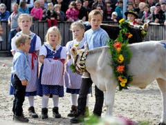 Die Geschwister Zehnder aus Niederbüren sind mit Kalb Petra nach St.Gallen gekommen. (Bild: Keystone)