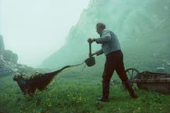 Zum Tod von Herbert Mäder Jaucheausbringen auf Alp Spitzigstein, Alpstein, Appenzell Innerrhoden Bildnachweis: Appenzeller Verlag, Herbert Maeder (Bild: Herbert Maeder)