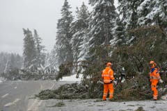 Sturmtief "Friederike" - Harz (Bild: Keystone)