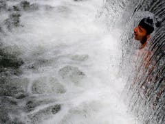 Abkühlung in einem Wasserfall, fotografiert in Indien. (Bild: FAROOQ KHAN (EPA))