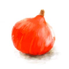 Je kleiner der Kürbis, desto intensiver sein Geschmack. Der Rote Hokkaido, auch kleiner Knirps genannt, eignet sich ideal für Suppe: Sein grell-oranges Fleisch gibt eine tolle Farbe und crèmige Konsistenz. Wie gut, dass man auch seine Schale mitessen kann. (Bild: Sandra Näf)