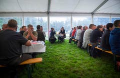 Highend Viehzucht Gant (Bild: Andrea Stalder)