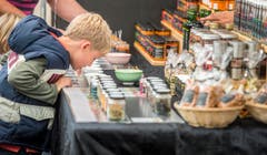 Wega 2015 (Bild: Reto Martin)