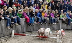 Tradition: Das Säulirennen. (Bild: Keystone)