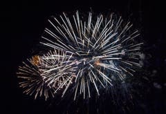 Von Donnerstag 3. August bis Samstag 5. August fand im Hafen von Romanshorn das Sommernachtsfest 2017 statt. (Bild: Andrea Stalder)
