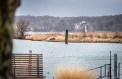Am Bodesee windete es bereits am Mittwochmorgen stark. (Bild: Andrea Stalder)