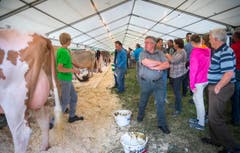 Highend Viehzucht Gant (Bild: Andrea Stalder)