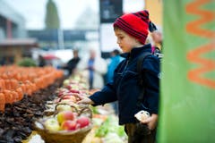Alles gesund: Ein Bub begutachtet eine Auslage. (Bild: Urs Bucher)