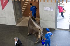 Für die Tiere gibt es selbstverständlich einen speziellen Eingang. (Bild: Michel Canonica)
