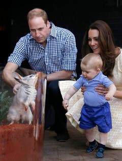 Mama Kate und Papa William zeigen ihrem Sohn ein Bilby, welches nach dem kleinen Prinzen getauft wurde. (Bild: Keystone)