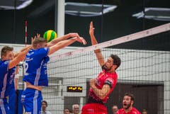 Volley Amriswil : Perugia Champions League Hinspiel (Bild: Andrea Stalder)