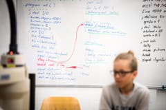 Arbon TG - Begabte Kinder nehmen am Berufsbildungszentrum Arbon an einem Förderkurs zum Thema Robotik teil. (Bild: Reto Martin)