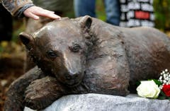 Heute erinnert eine Bronzestatue im Zoologischen Garten an Knut. (Bild: Keystone)