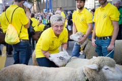 St. Gallen - Umzug Olma Olmaumzug durch die Stadt (Bild: Ralph Ribi)