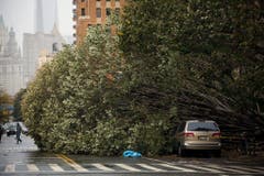 Ein riesiger entwurzelter Baum blockiert in Manhattan eine Strasse. (Bild: Keystone)