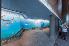 Wie Fische im Wasser dürften sich die Badegäste im renovierten Säntispark fühlen. (Bild: Hanspeter Schiess)