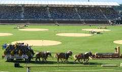 Der Feldschlösschen Sechsspänner fährt mit dem Schlossfräulein von Estavayer in die Arena ein. (Bild: Feldschlösschen/André Springer)
