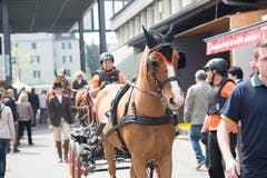 St. Gallen - OFFA Frühlingsmesse Freitzeit- und Sportmesse und Pferdemesse Besucher bei oder in der Arene bei der Darbietung der Pferdevoltiiererinnen (Bild: Ralph Ribi)