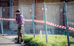 Versteigerung Alppferde Ulrich K. (Bild: Reto Martin)