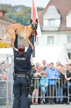 Polizeihunde-Vorführung an der Wega. (Bild: Donato Caspari)
