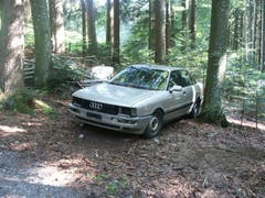Ein Auto steht im Walde... (Bild: Oberforstamt Appenzell Ausserrhoden)