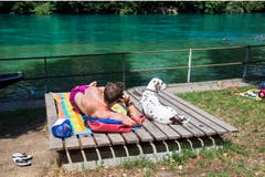 Auch der Hund macht es sich gemütlich. (Bild: Keystone)