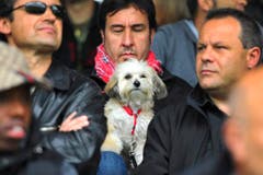 Im Paul-Grüninger-Stadion sind auch Hunde willkommen. (Bild: Urs Bucher)