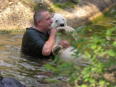Knut in den Armen eines zweiten Pflegers. (Bild: Umberto W. Ferrari)