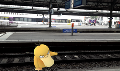 Ein wildes Enton greift auf dem Gleis an. (Bild: Screenshot)