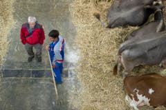 Auch während der Arbeit bleibt den Angestellten Zeit für ein kurzes Gespräch. (Bild: Michel Canonica)